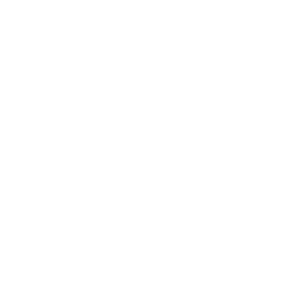 graphic icon of a mechanic holding a spanner